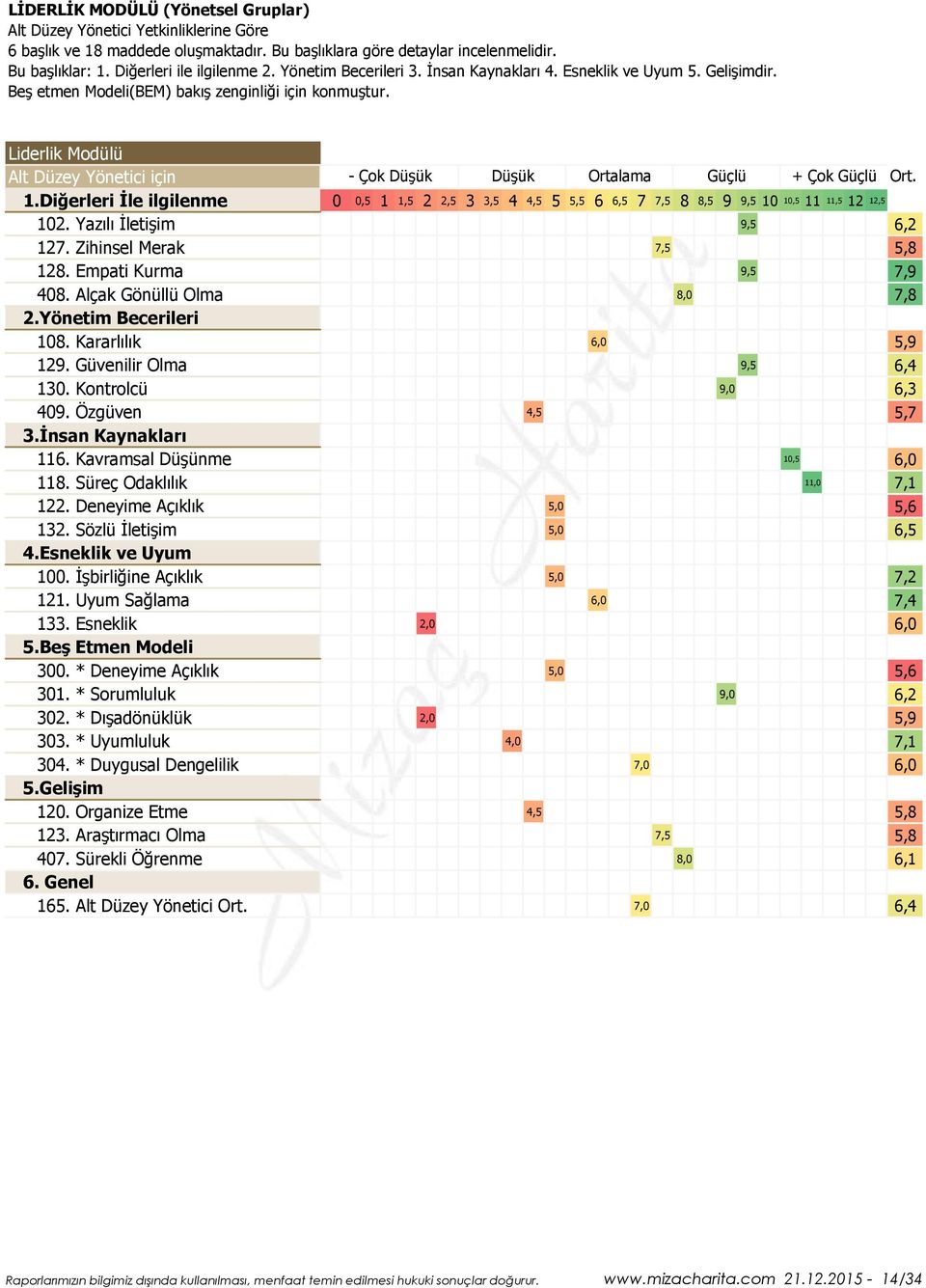 Liderlik Modülü Alt Düzey Yönetici için - Çok Düşük Düşük Ortalama Güçlü + Çok Güçlü Ort. 1.