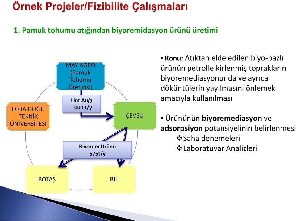 kirlenmiş toprakların biyoremediasyonunda ve ayrıca döküntülerin yayılmasını önlemek amacıyla kullanılması