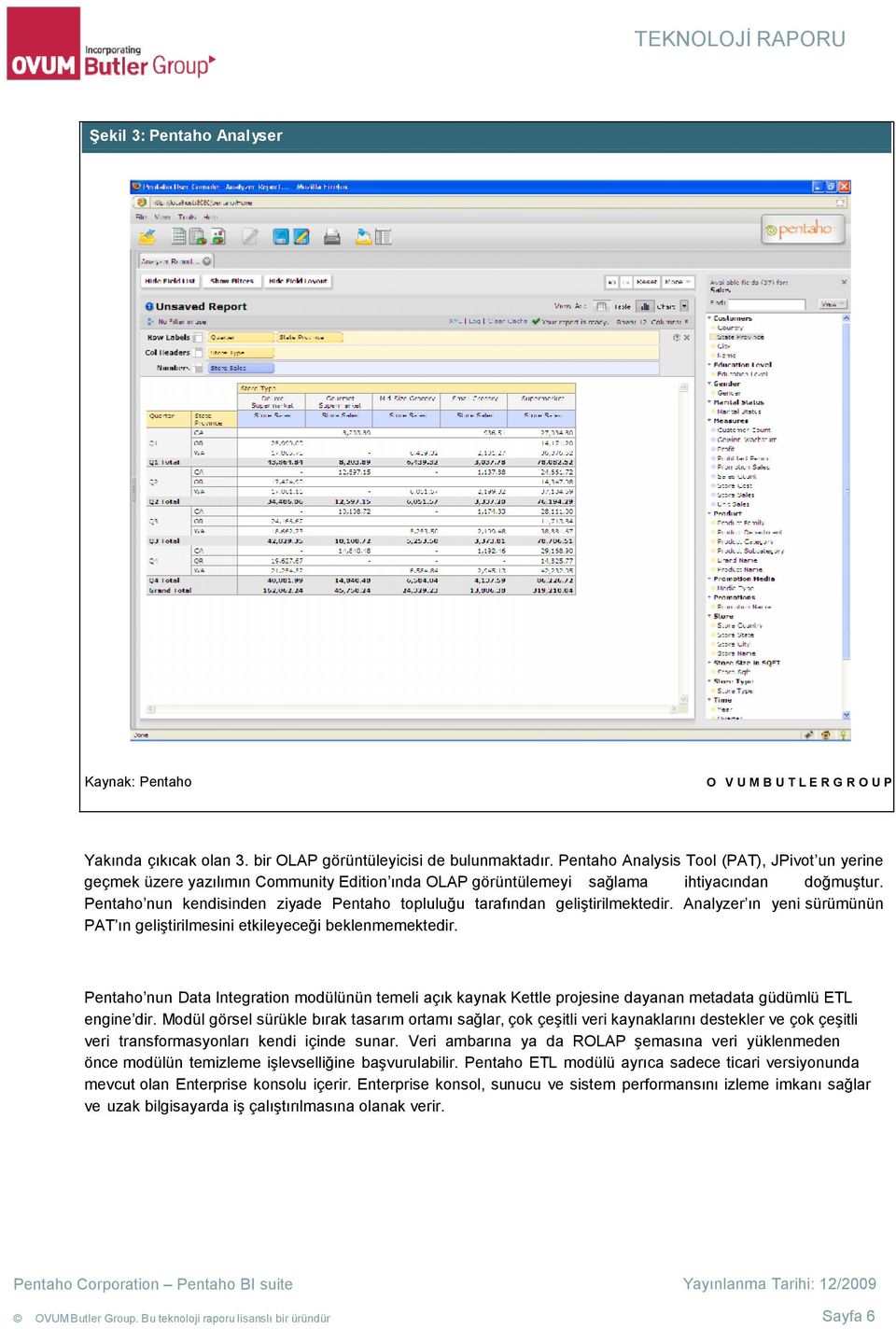 Pentaho nun kendisinden ziyade Pentaho topluluğu tarafından geliştirilmektedir. Analyzer ın yeni sürümünün PAT ın geliştirilmesini etkileyeceği beklenmemektedir.