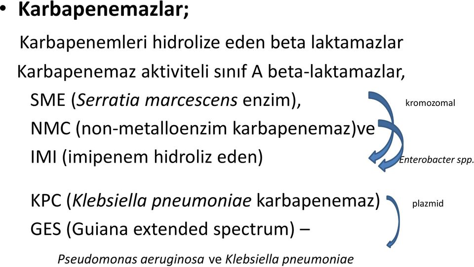 karbapenemaz)ve IMI (imipenem hidroliz eden) kromozomal Enterobacter spp.