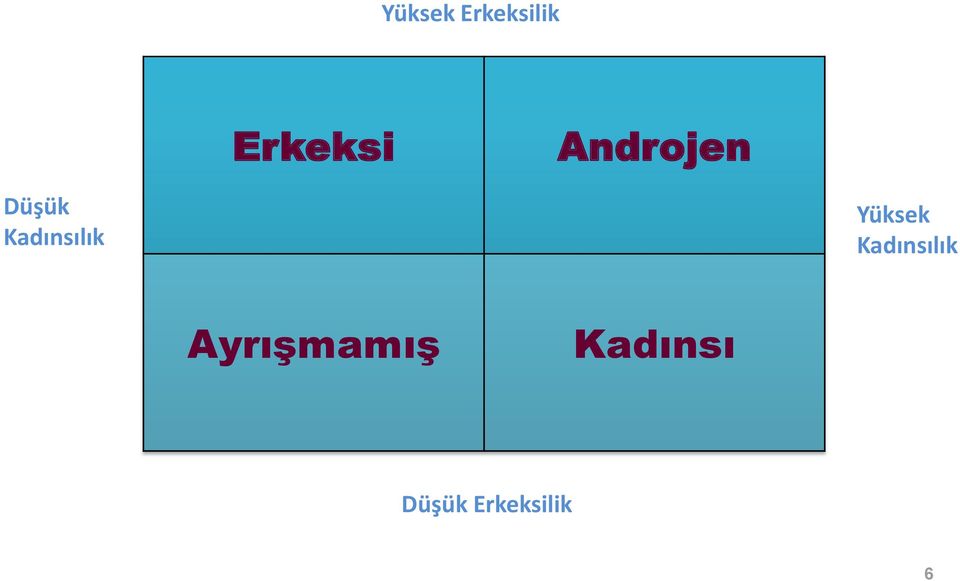 Yüksek Kadınsılık