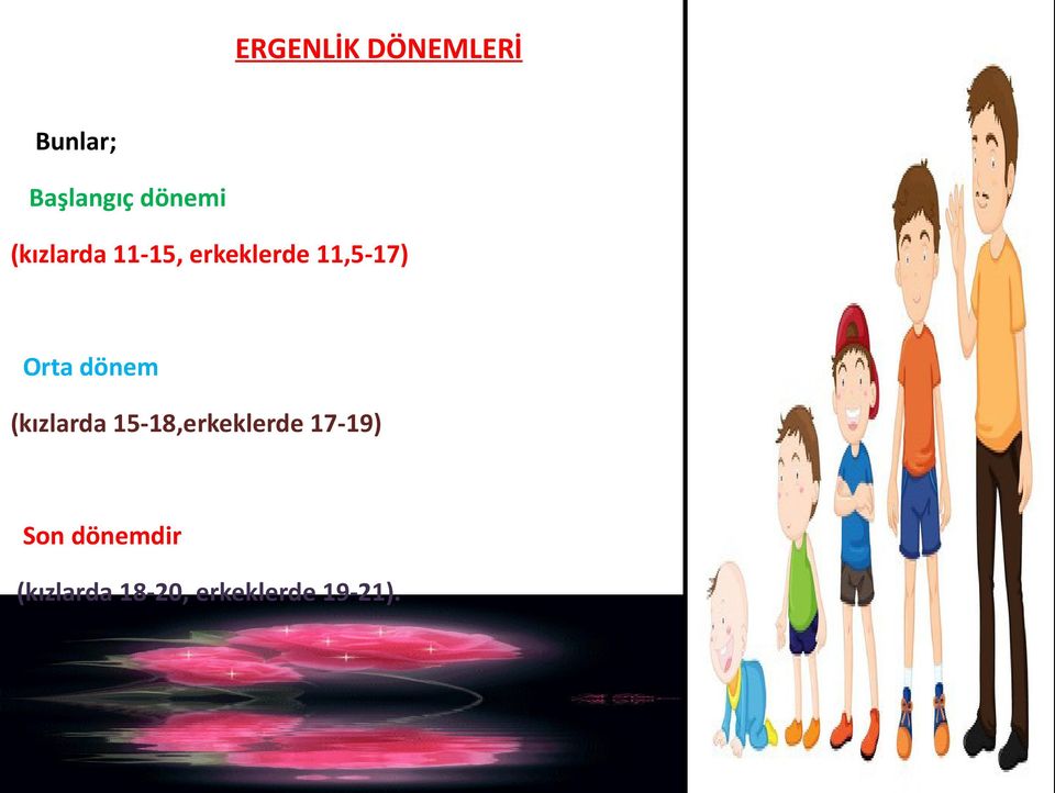 dönem (kızlarda 15-18,erkeklerde 17-19) Son