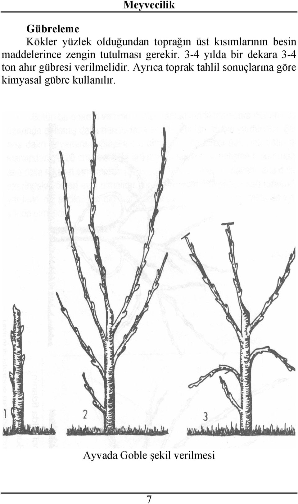 3-4 yılda bir dekara 3-4 ton ahır gübresi verilmelidir.