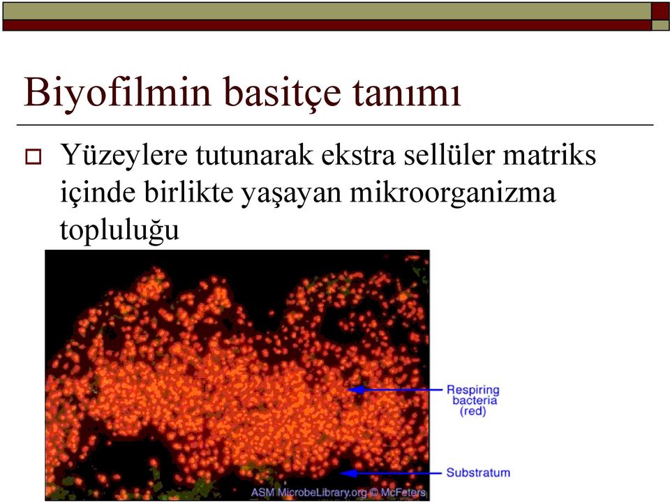 sellüler matriks içinde