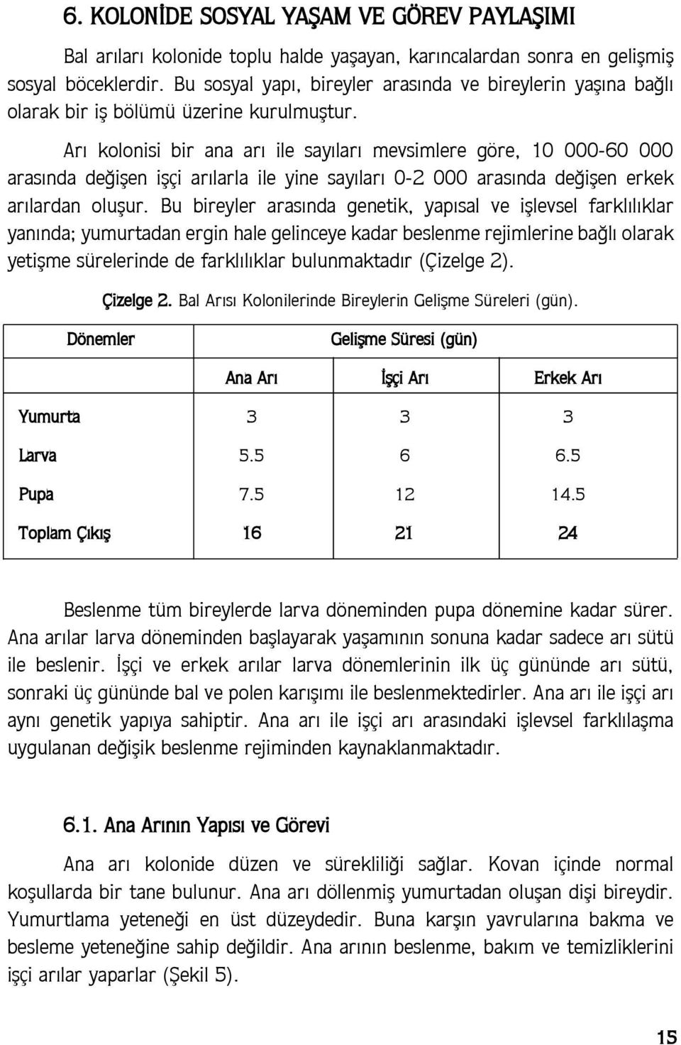 Ar kolonisi bir ana ar ile say lar mevsimlere göre, 10 000-60 000 aras nda de ißen ißçi ar larla ile yine say lar 0-2 000 aras nda de ißen erkek ar lardan olußur.