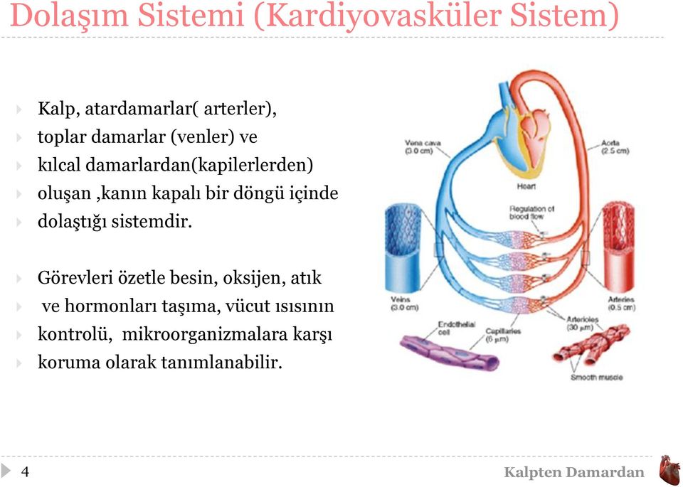 döngü içinde dolaştığı sistemdir.