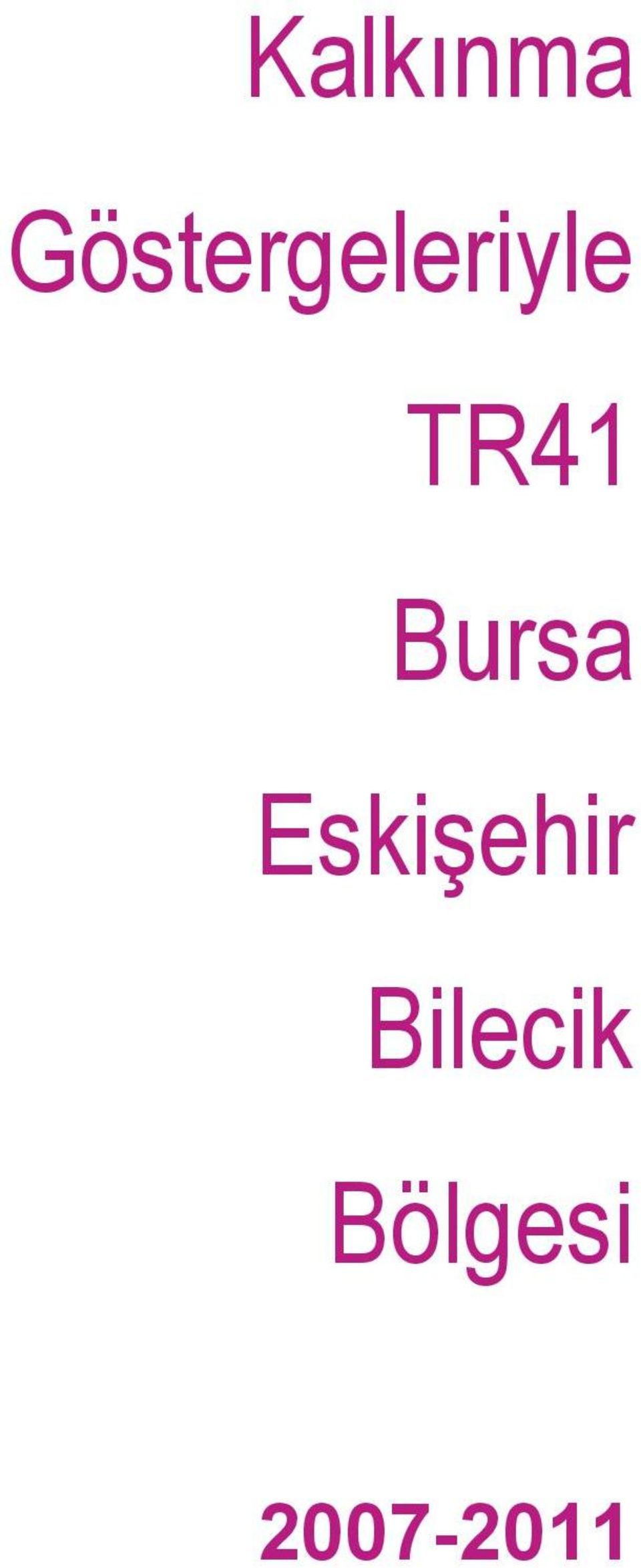 Göstergeleriyle TR41 Bursa Eskişehir