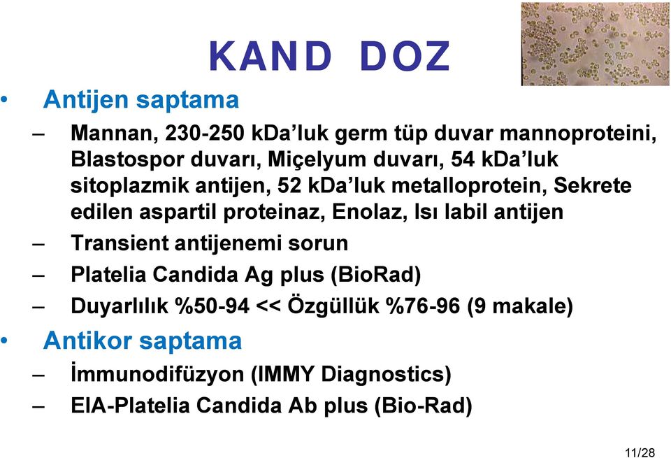 Isı labil antijen Transient antijenemi sorun Platelia Candida Ag plus (BioRad) Duyarlılık %50-94 << Özgüllük