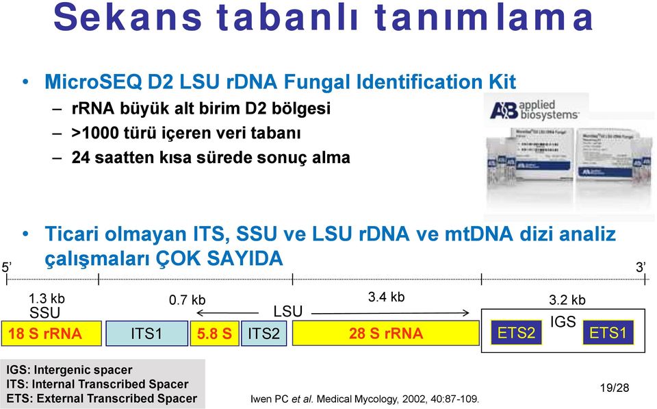 çalışmaları ÇOK SAYIDA 5 3 1.3 kb 0.7 kb 3.4 kb 3.2 kb SSU LSU IGS 18 S rrna ITS1 5.