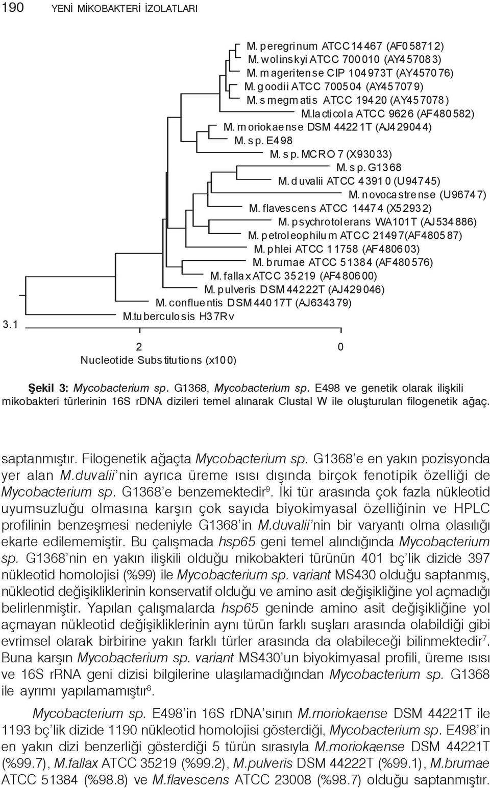 G1368 e en yakın pozisyonda yer alan M.duvalii nin ayrıca üreme ısısı dışında birçok fenotipik özelliği de Mycobacterium sp. G1368 e benzemektedir 9.