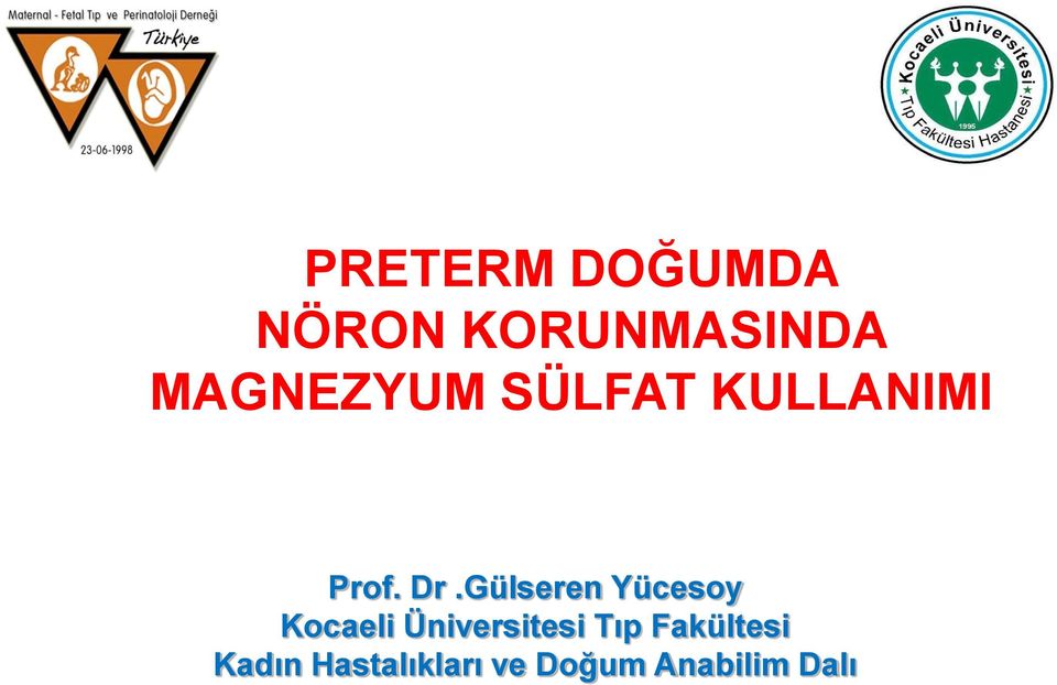 Gülseren Yücesoy Kocaeli Üniversitesi