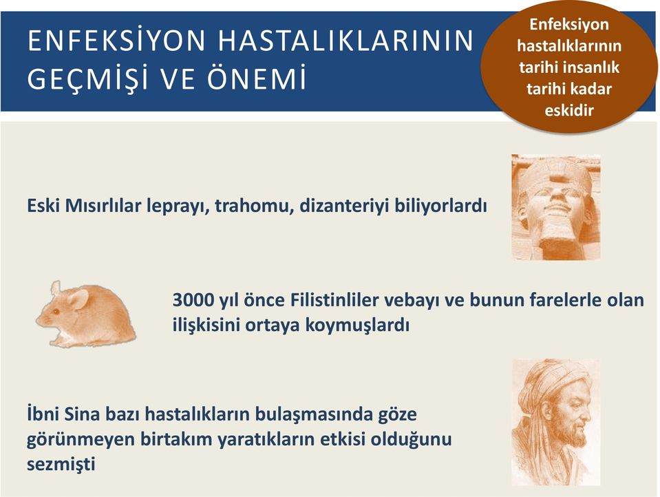 önce Filistinliler vebayı ve bunun farelerle olan ilişkisini ortaya koymuşlardı İbni Sina