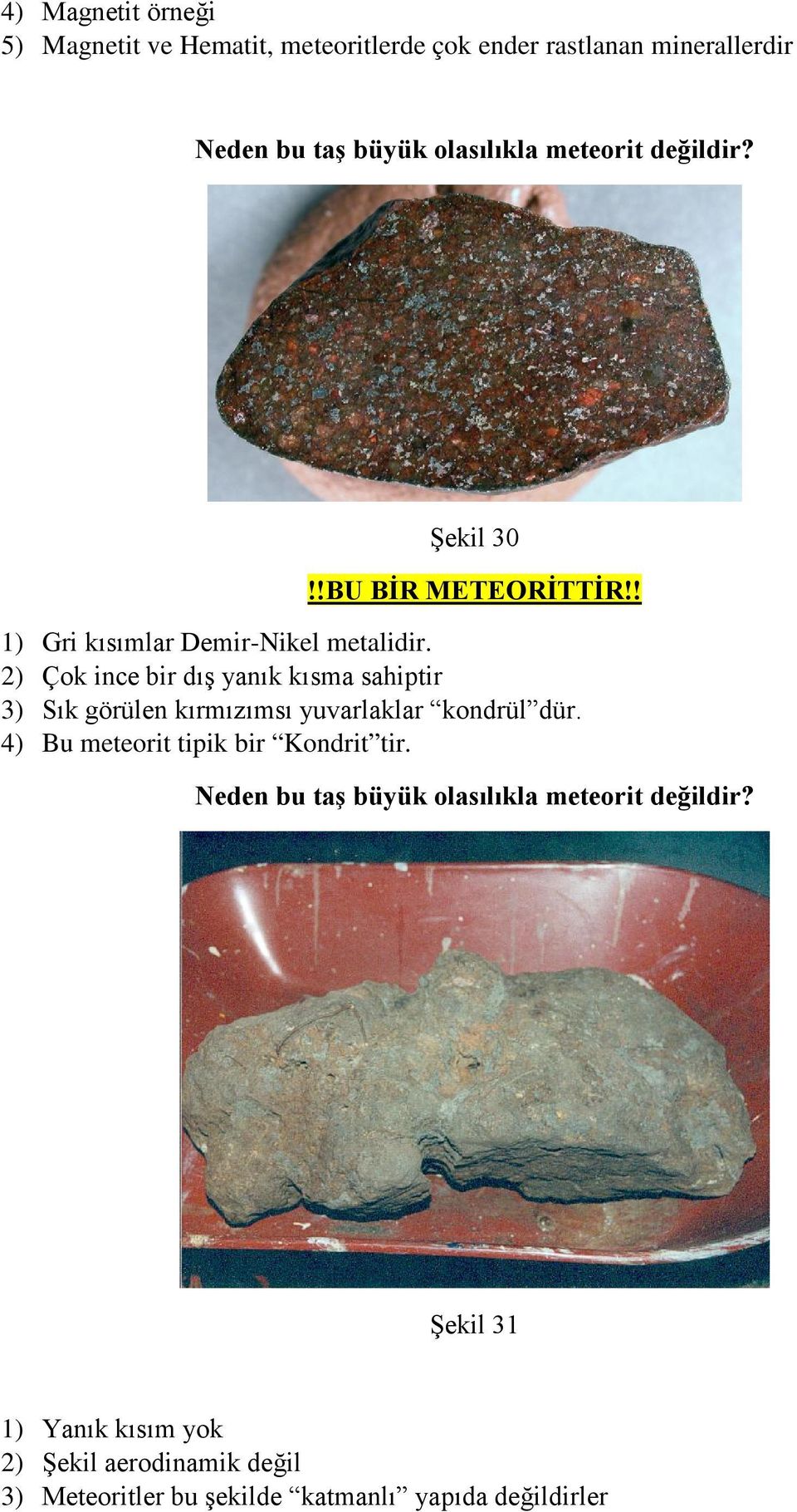 2) Çok ince bir dış yanık kısma sahiptir 3) Sık görülen kırmızımsı yuvarlaklar kondrül dür.