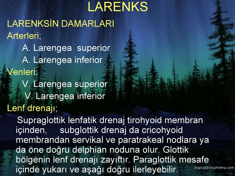 Larengea inferior Lenf drenajı; Supraglottik lenfatik drenaj tirohyoid membran içinden, subglottik