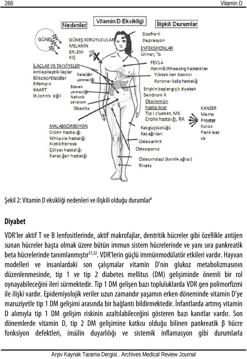 Hayvan modelleri ve insanlardaki son çalışmalar vitamin D nin glukoz metabolizmasının düzenlenmesinde, tip 1 ve tip 2 diabetes mellitus (DM) gelişiminde önemli bir rol oynayabileceğini ileri