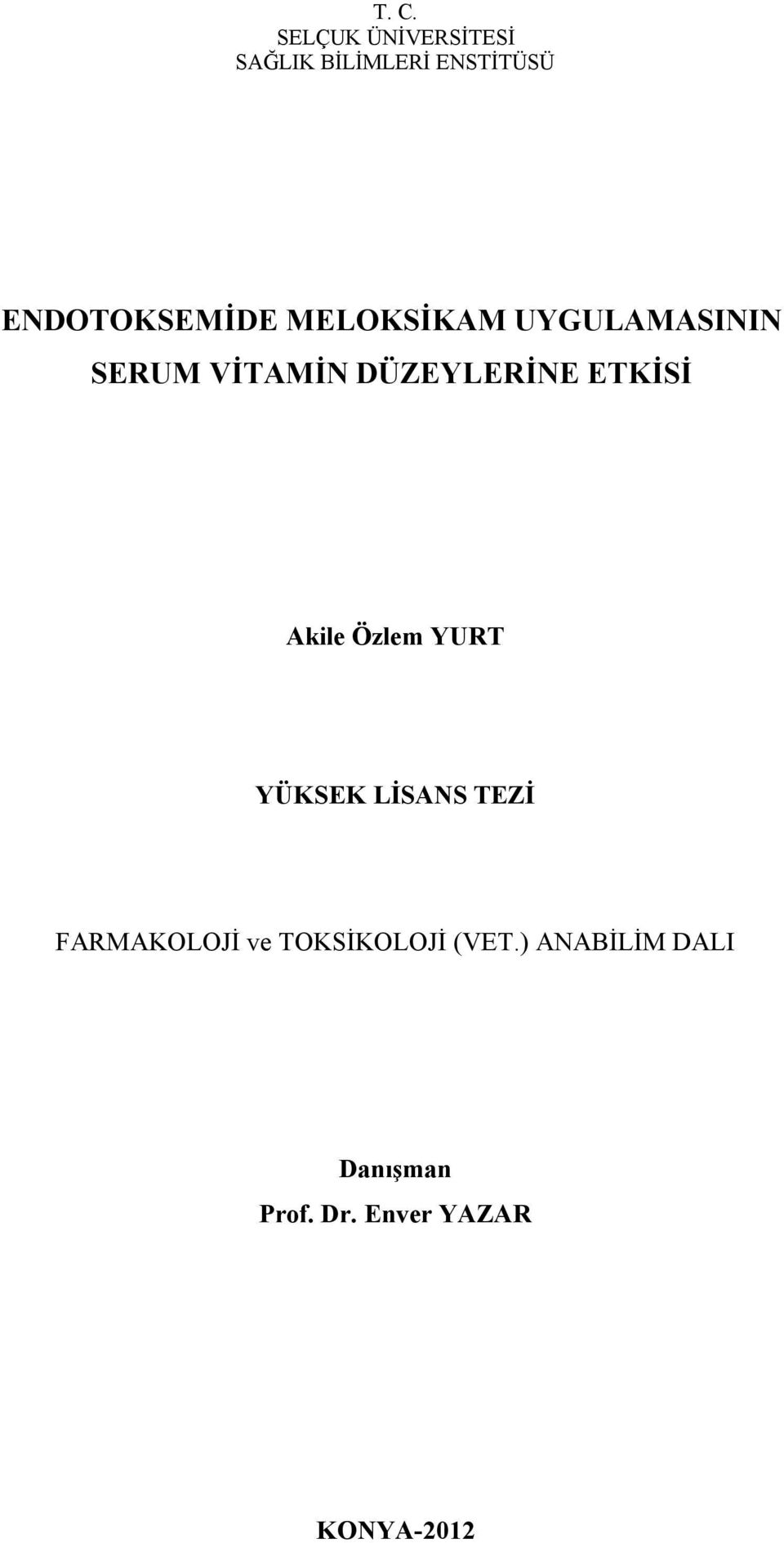 DÜZEYLERİNE ETKİSİ Akile Özlem YURT YÜKSEK LİSANS TEZİ