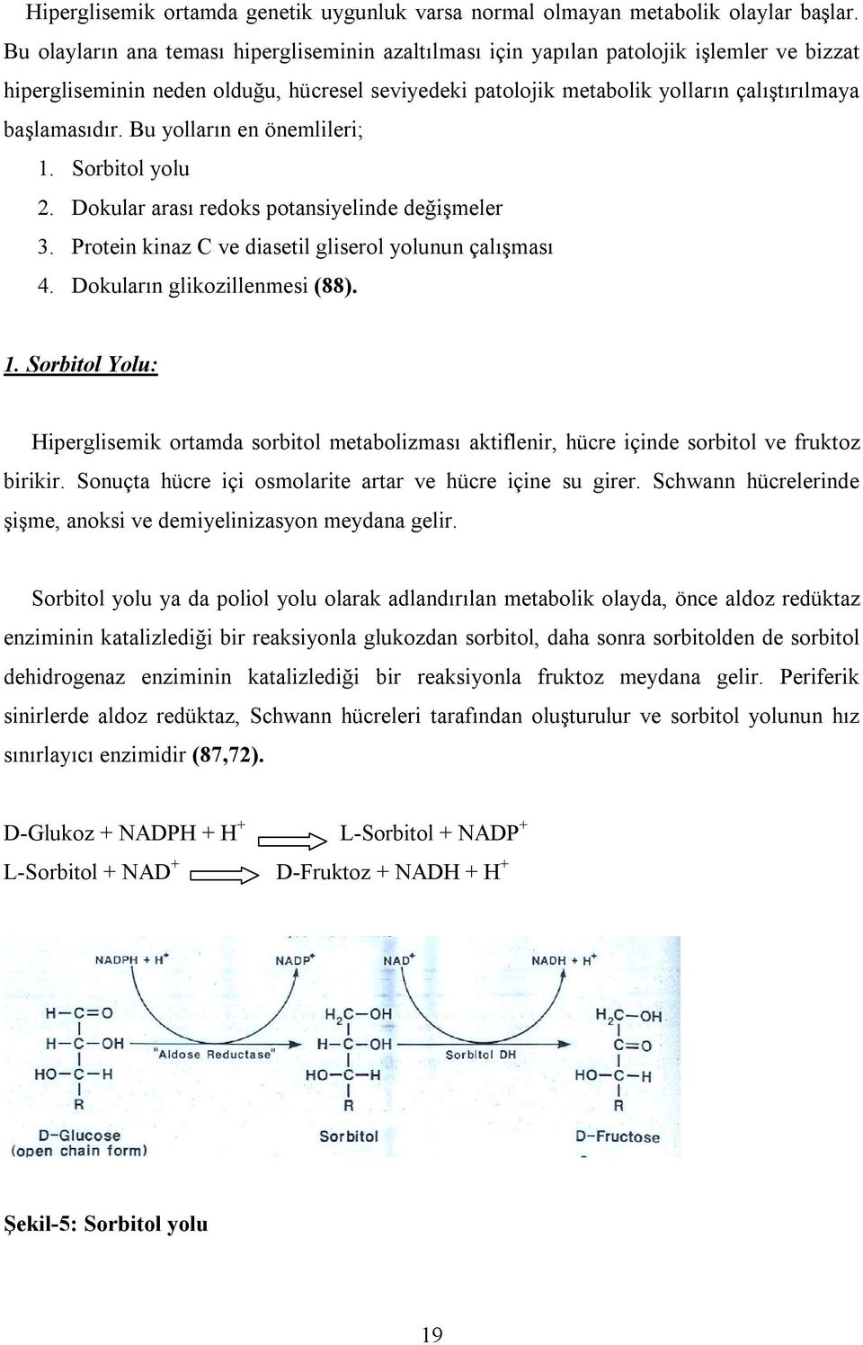 başlamasõdõr. Bu yollarõn en önemlileri; 1. Sorbitol yolu 2. Dokular arasõ redoks potansiyelinde değişmeler 3. Protein kinaz C ve diasetil gliserol yolunun çalõşmasõ 4. Dokularõn glikozillenmesi (88).