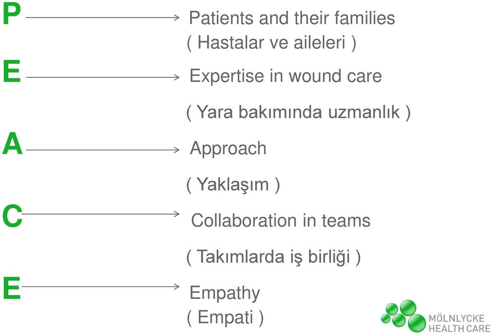 bakımında uzmanlık ) Approach ( Yaklaşım )