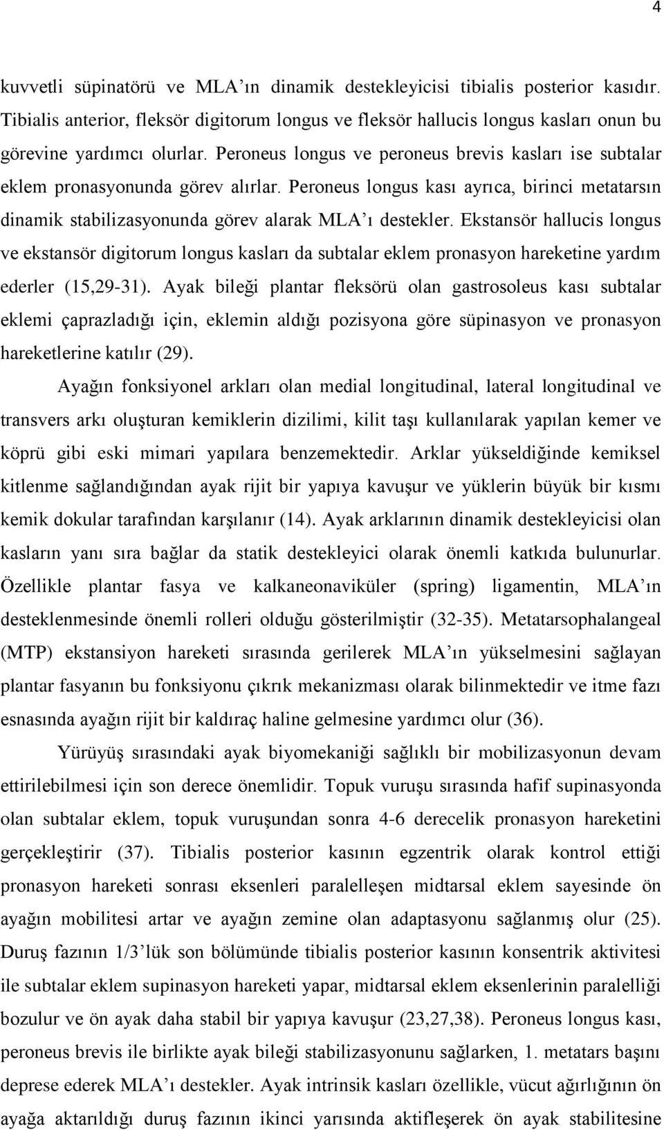 Ekstansör hallucis longus ve ekstansör digitorum longus kasları da subtalar eklem pronasyon hareketine yardım ederler (15,29-31).