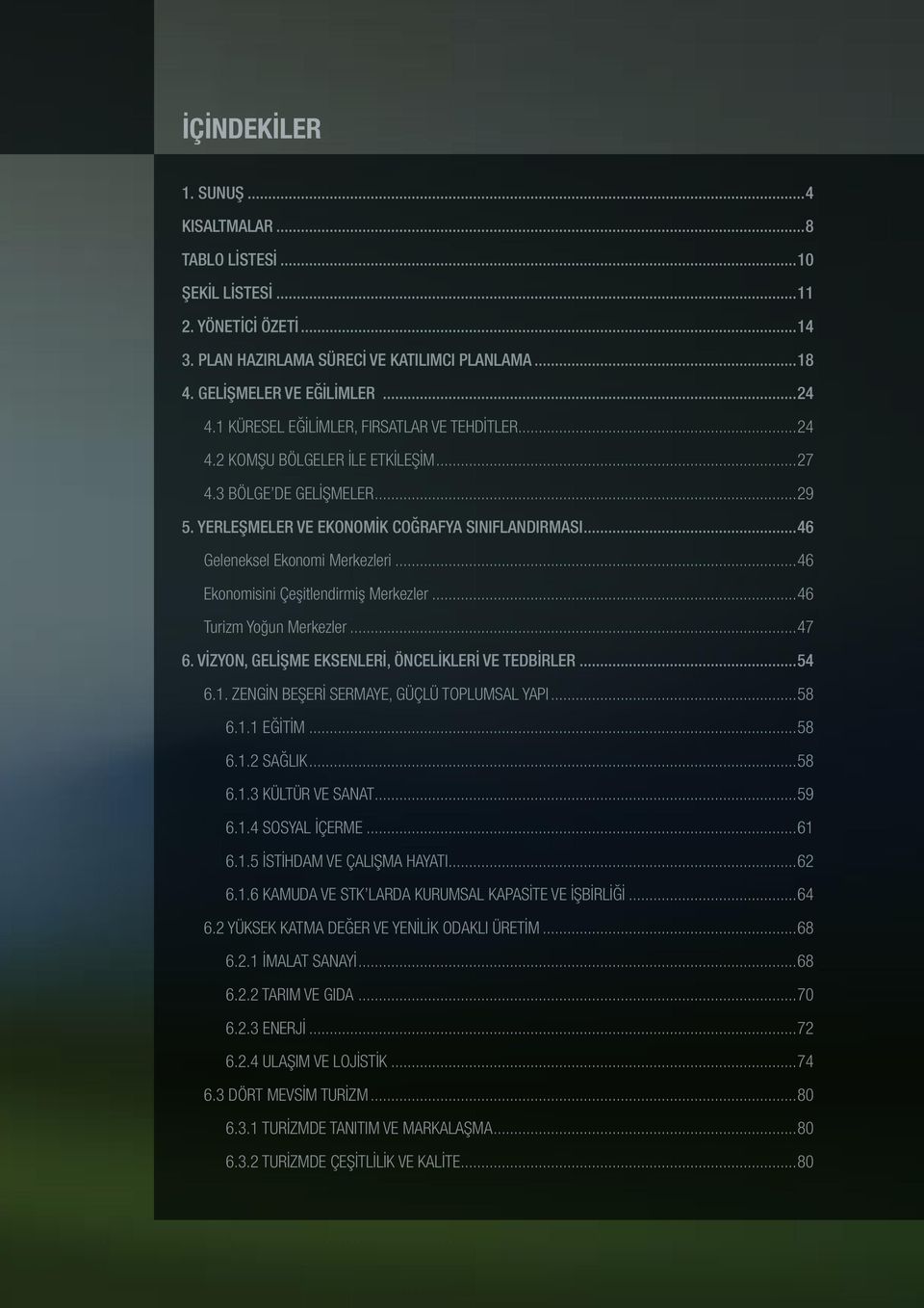 ..46 Geleneksel Ekonomi Merkezleri...46 Ekonomisini Çeşitlendirmiş Merkezler...46 Turizm Yoğun Merkezler...47 6. VİZYON, GELİŞME EKSENLERİ, ÖNCELİKLERİ VE TEDBİRLER...54 6.1.