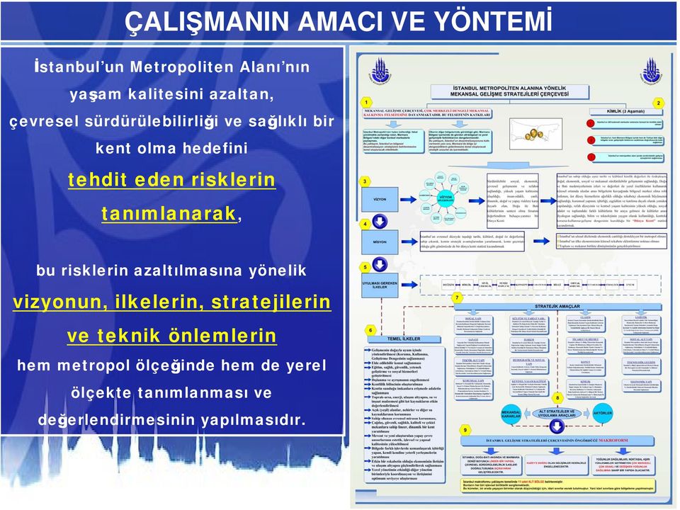 tanımlanarak, bu risklerin azaltılmasına yönelik vizyonun, ilkelerin, stratejilerin ve