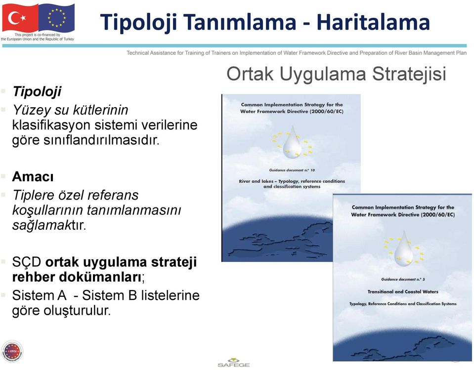 Ortak Uygulama Stratejisi Amacı Tiplere özel referans koşullarının