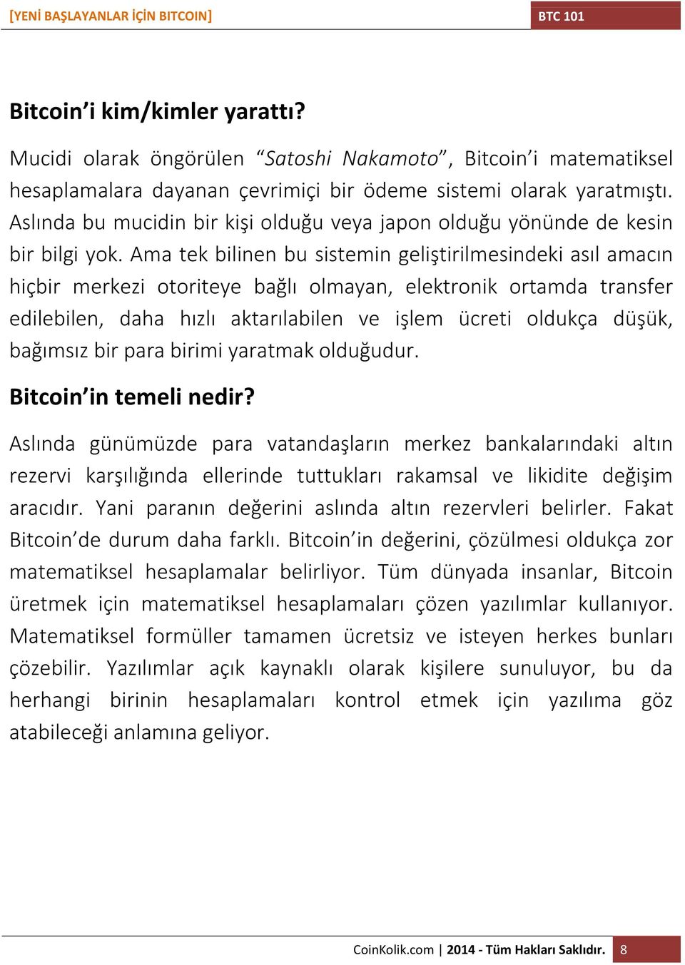 Ama tek bilinen bu sistemin geliştirilmesindeki asıl amacın hiçbir merkezi otoriteye bağlı olmayan, elektronik ortamda transfer edilebilen, daha hızlı aktarılabilen ve işlem ücreti oldukça düşük,