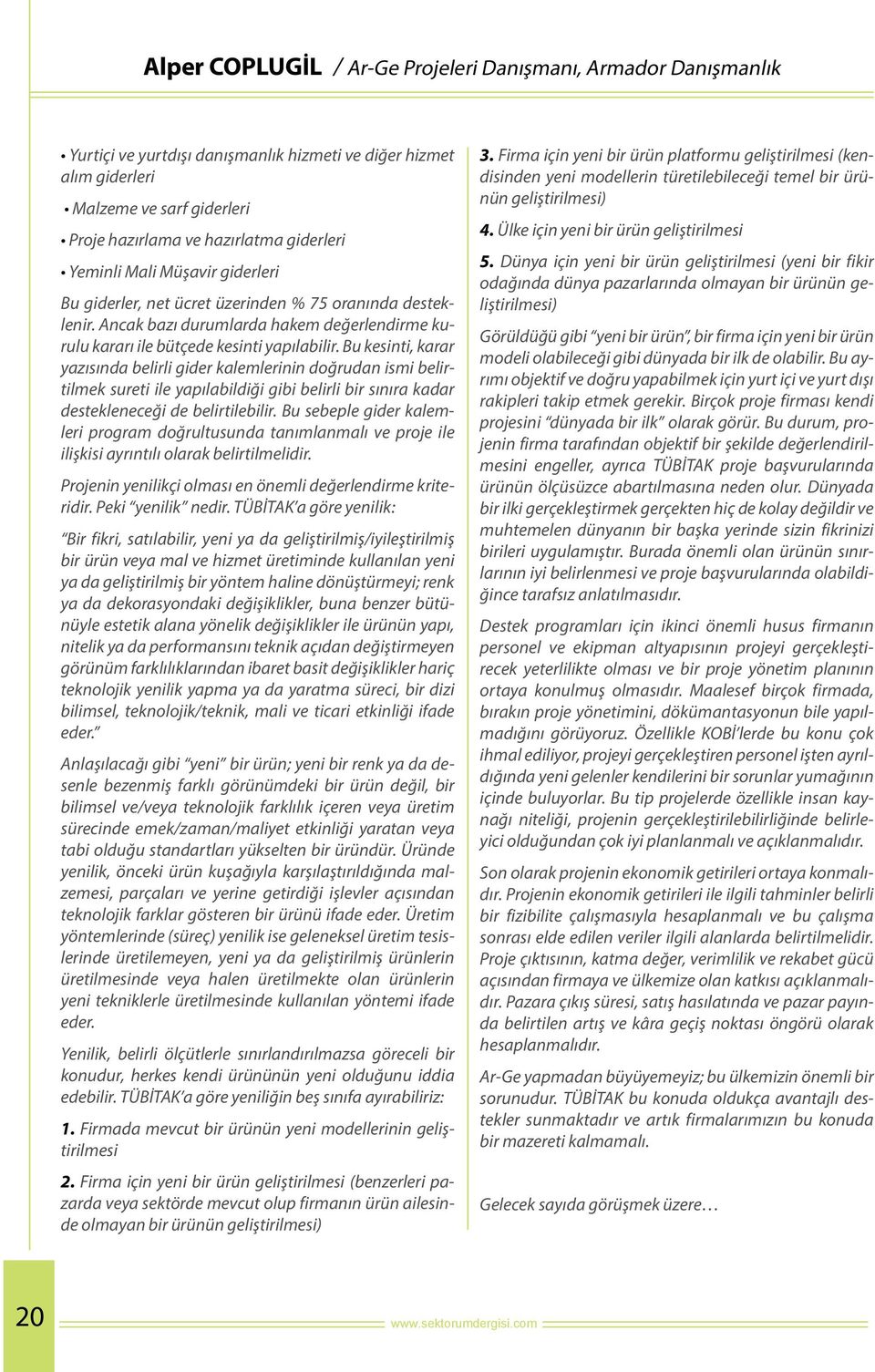 Bu kesinti, karar yazısında belirli gider kalemlerinin doğrudan ismi belirtilmek sureti ile yapılabildiği gibi belirli bir sınıra kadar destekleneceği de belirtilebilir.