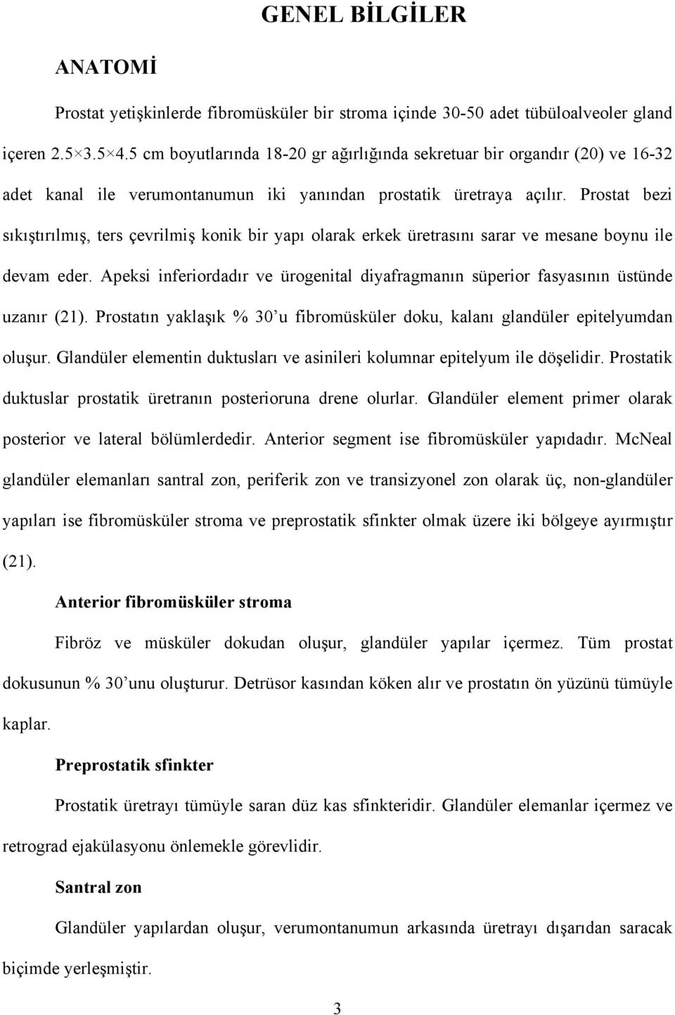 Prostat bezi sıkıştırılmış, ters çevrilmiş konik bir yapı olarak erkek üretrasını sarar ve mesane boynu ile devam eder.