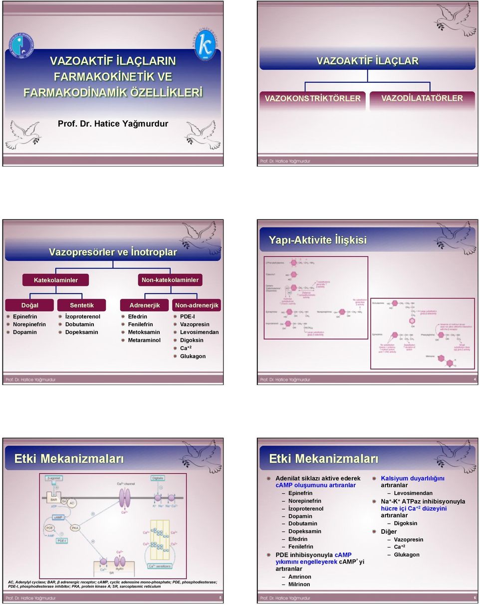 Dopeksamin Efedrin Fenilefrin Metoksamin Metaraminol PDE-I Vazopresin Levosimendan Digoksin Ca +2 Glukagon 4 Etki Mekanizmaları AC, Adenylyl cyclase; BAR, β adrenergic receptor; camp, cyclic