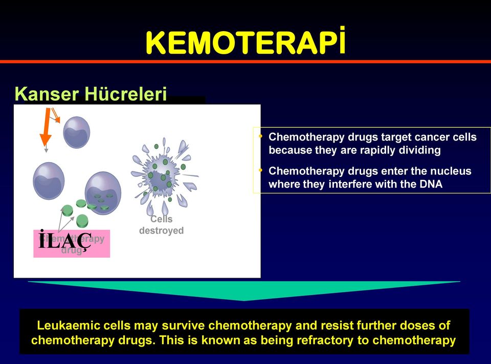 İLAÇ Chemotherapy drug Cells destroyed Leukaemic cells may survive chemotherapy and