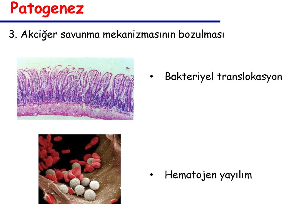 mekanizmasının