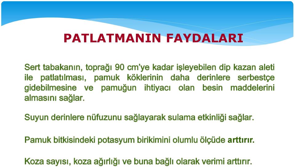 maddelerini almasını sağlar. Suyun derinlere nüfuzunu sağlayarak sulama etkinliği sağlar.