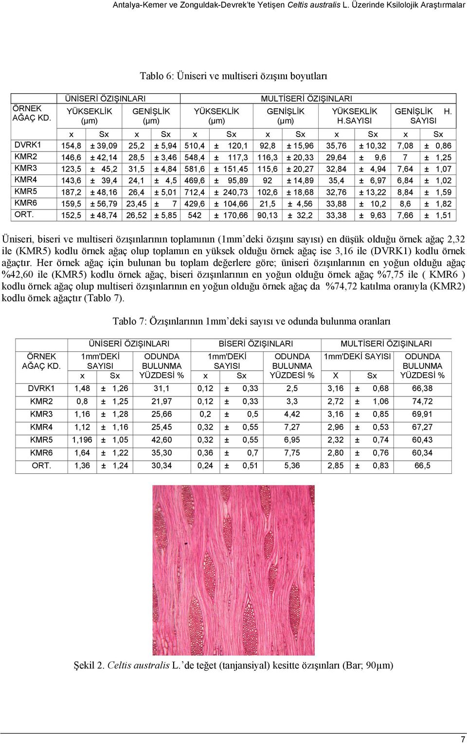 SAYISI x Sx x Sx x Sx x Sx x Sx x Sx DVRK1 154,8 ± 39,09,2 ± 5,94 510,4 ± 120,1 92,8 ± 15,96 35,76 ± 10,32 7,08 ± 0,86 KMR2 146,6 ± 42,14 28,5 ± 3,46 548,4 ± 117,3 116,3 ± 20,33 29,64 ± 9,6 7 ± 1,