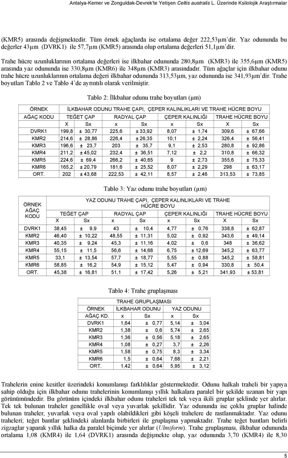 Trahe hücre uzunluklarının rtalama değerleri ise ilkbahar dununda 280,8µm (KMR3) ile 355,6µm (KMR5) arasında yaz dununda ise 330,8µm (KMR6) ile 348µm (KMR3) arasındadır.