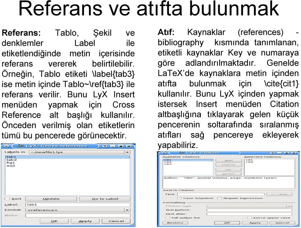 Önceden verilmiş olan etiketlerin tümü bu pencerede görünecektir. Atıf: Kaynaklar (references) - bibliography kısmında tanımlanan, etiketli kaynaklar Key ve numaraya göre adlandırılmaktadır.