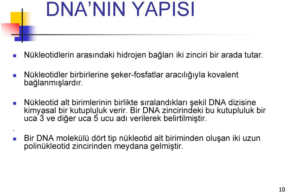 . Nükleotid alt birimlerinin birlikte sıralandıkları şekil DNA dizisine kimyasal bir kutupluluk verir.