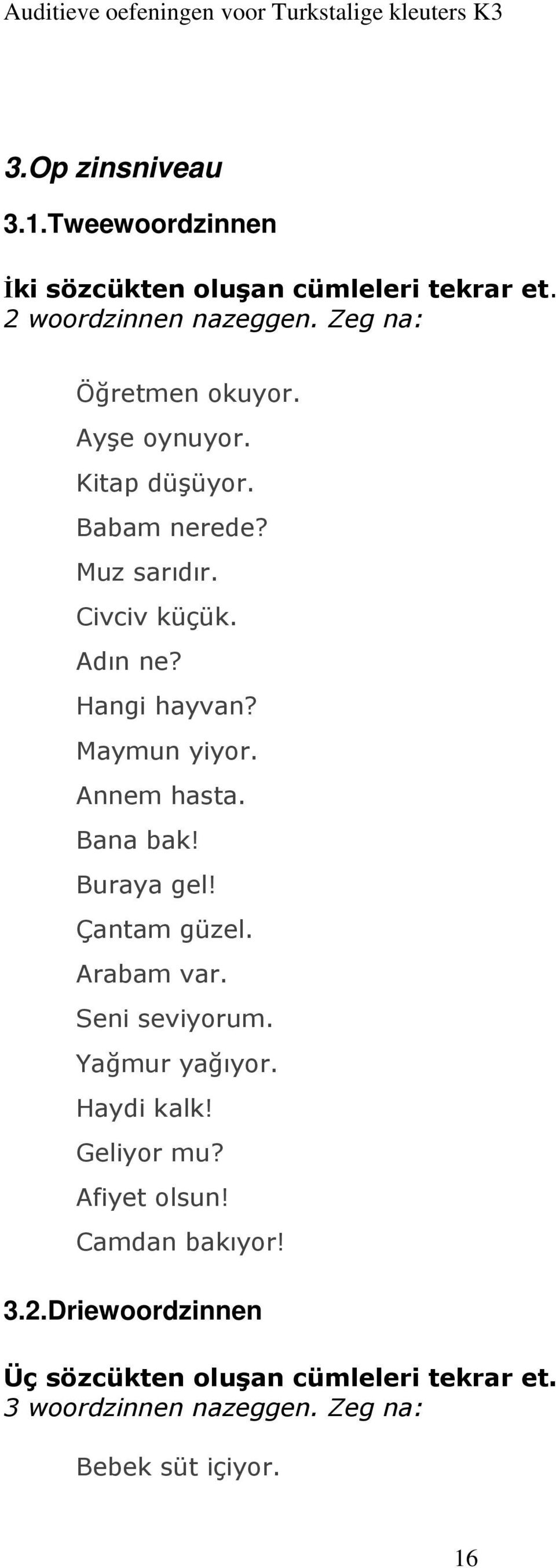 Maymun yiyor. Annem hasta. Bana bak! Buraya gel! Çantam güzel. Arabam var. Seni seviyorum. Yağmur yağıyor. Haydi kalk!