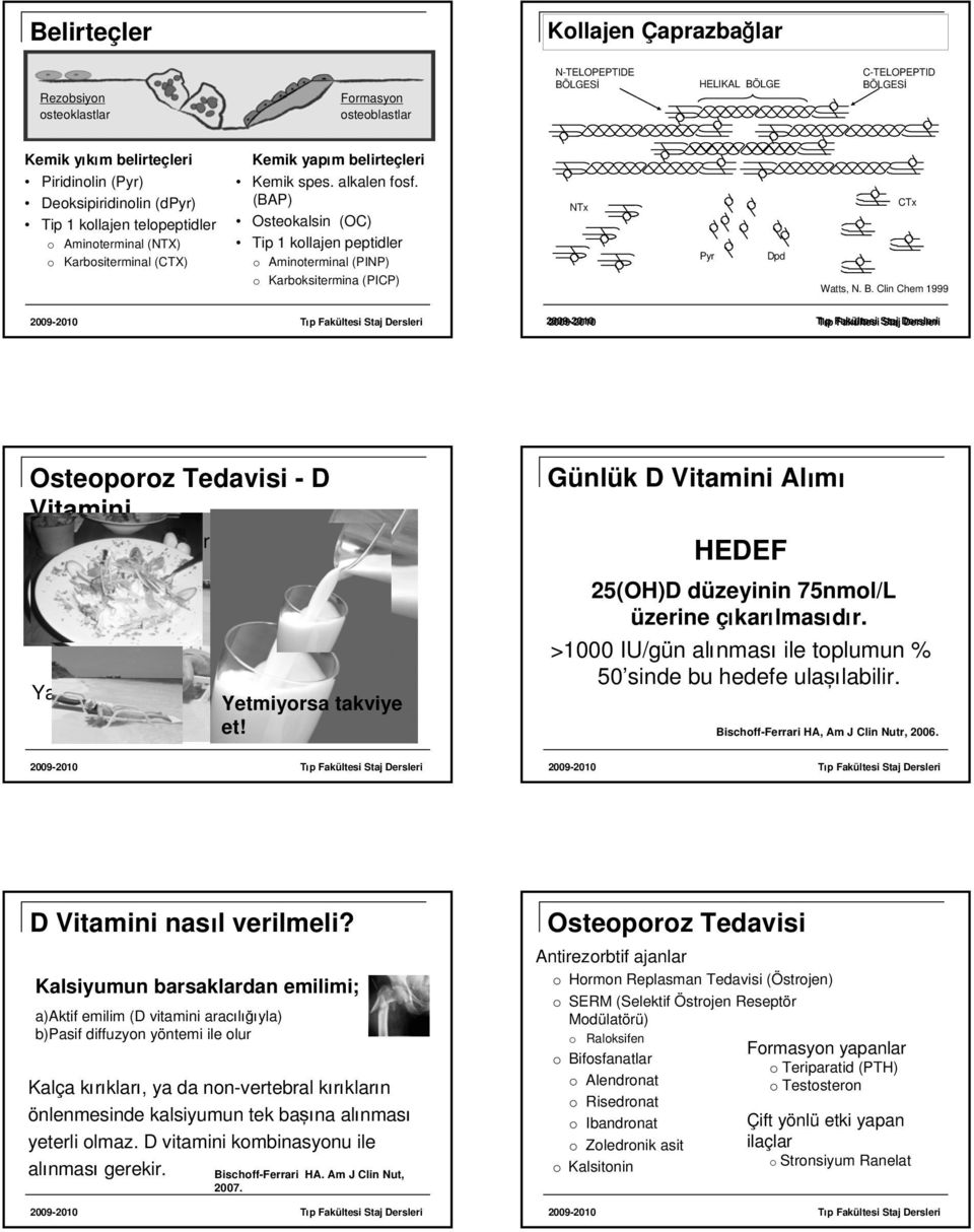 (BAP) Osteokalsin (OC) Tip 1 kollajen peptidler o Aminoterminal (PINP) o Karboksitermina (PICP) NTx Pyr Dpd CTx Watts, N. B. Clin Chem 1999 Osteoporoz Tedavisi - D Vitamini Ya hep orada kal!