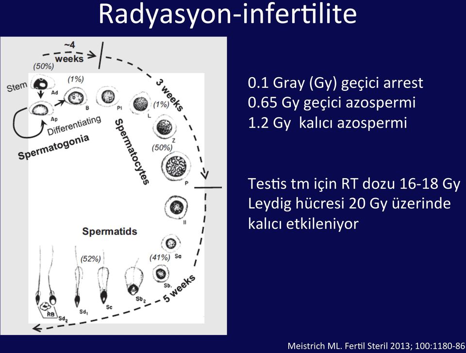 2 Gy kalıcı azospermi Tes8s tm için RT dozu 16-18 Gy