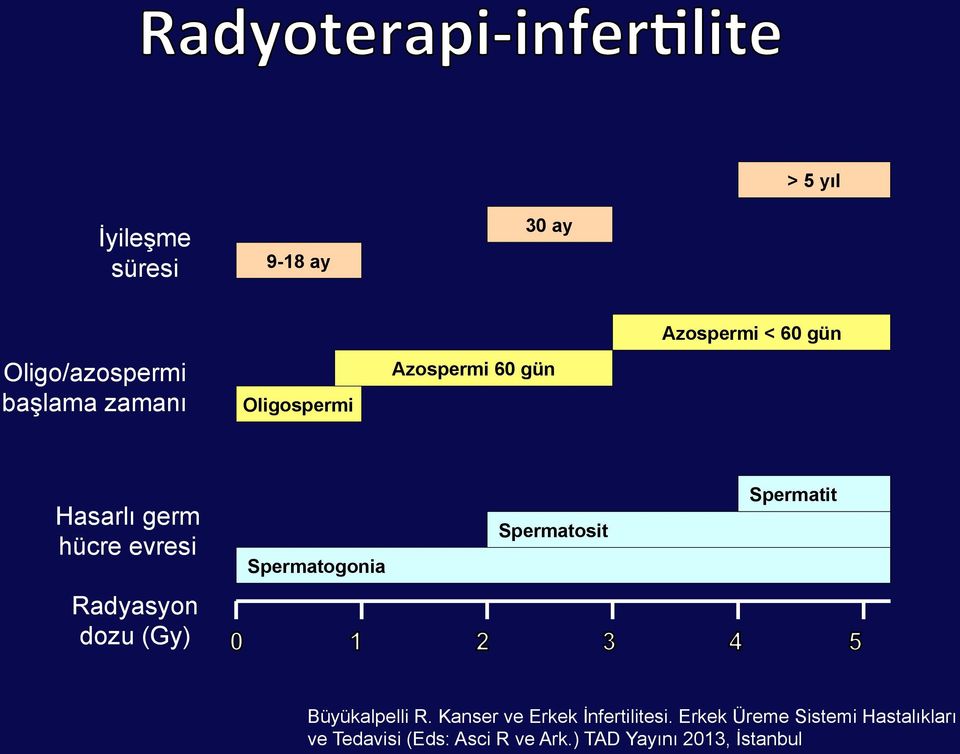 Spermatosit Spermatit Radyasyon dozu (Gy) Büyükalpelli R.