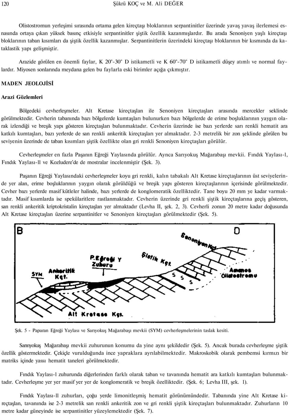 özellik kazanmışlardır. Bu arada Senoniyen yaşlı kireçtaşı bloklarının taban kısımları da şiştik özellik kazanmışlar.