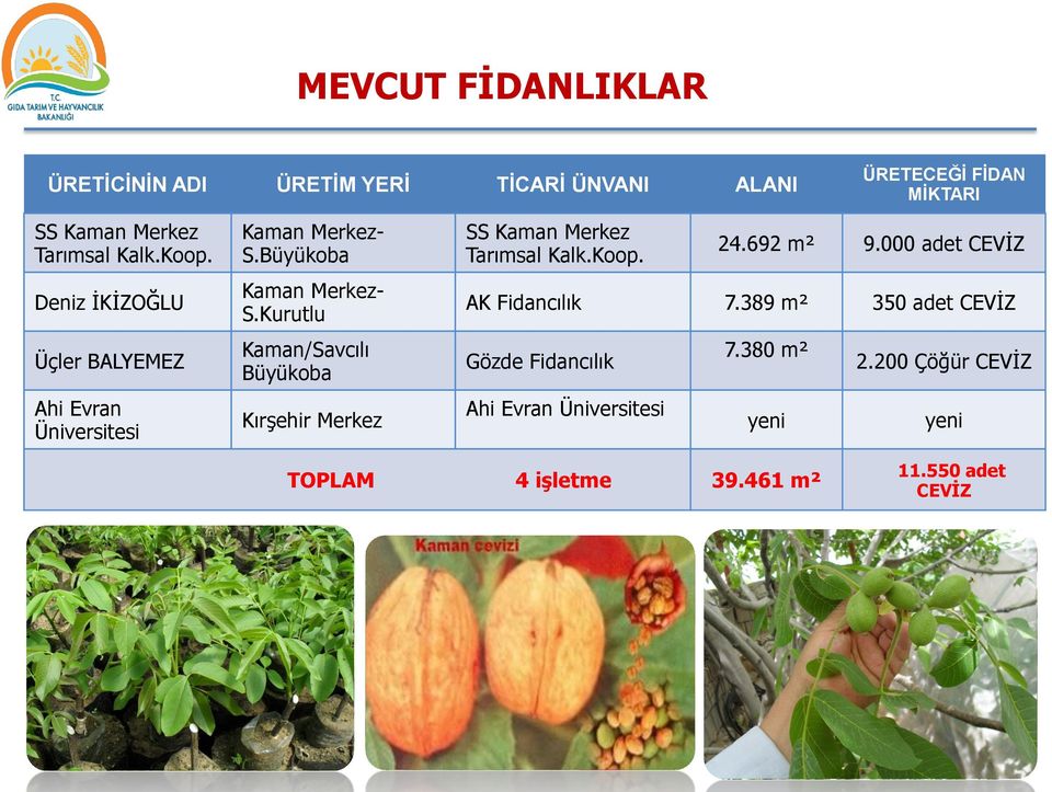 Kurutlu Kaman/Savcılı Büyükoba Kırşehir Merkez SS Kaman Merkez Tarımsal Kalk.Koop. 24.692 m² 9.