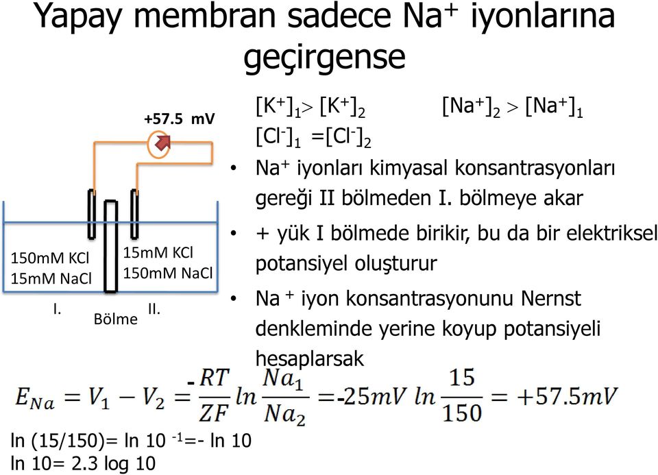 konsantrasyonları gereği II bölmeden I.