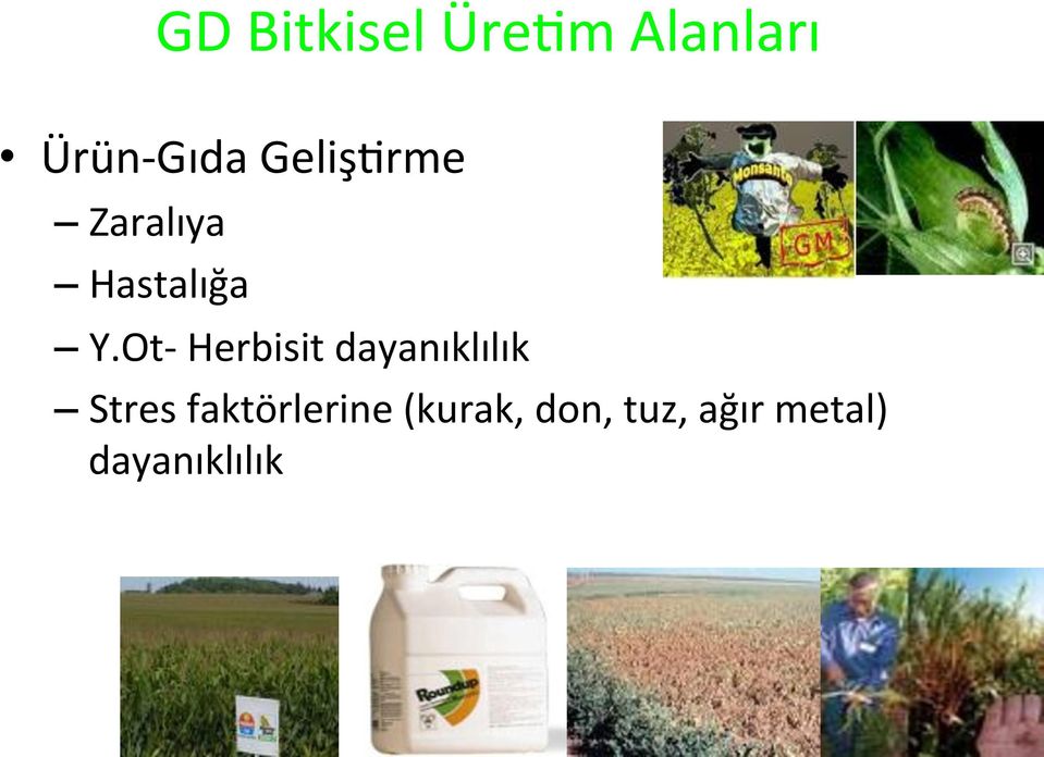 Ot- Herbisit dayanıklılık Stres