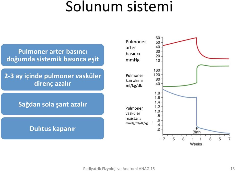 arter basıncı mmhg Pulmoner kan akımı ml/kg/dk Sağdan sola şant