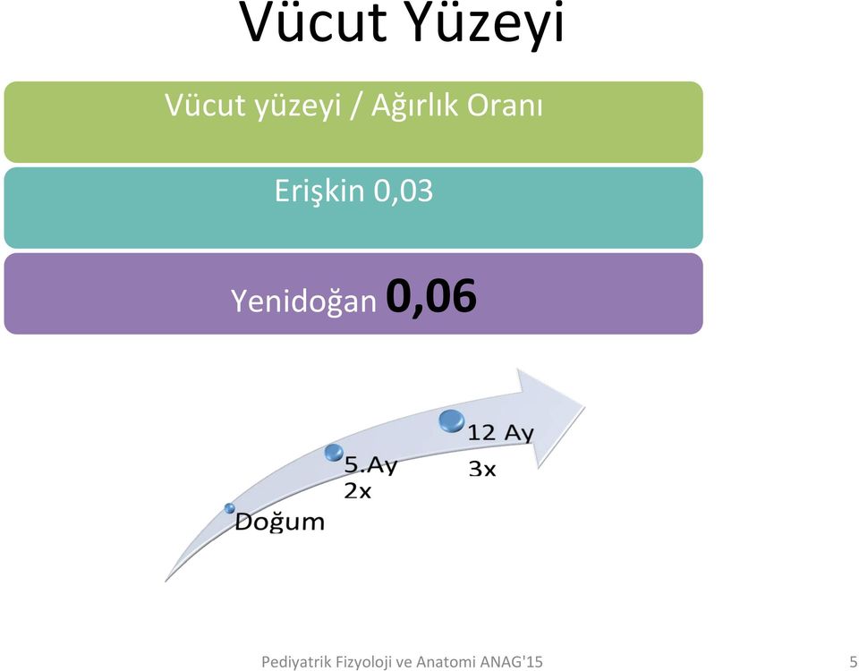 Ağırlık Oranı