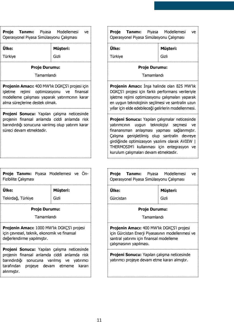 projenin finansal anlamda ciddi anlamda risk barındırdığı sonucuna varılmış olup yatırım karar süreci devam etmektedir.