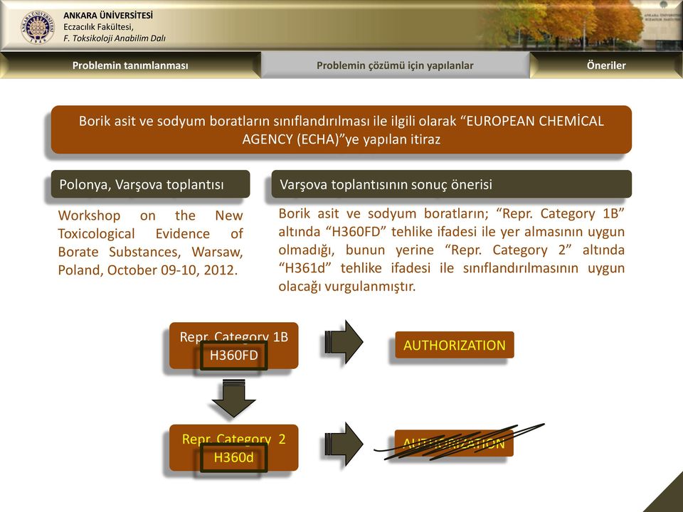 Varşova toplantısının sonuç önerisi Borik asit ve sodyum boratların; Repr.