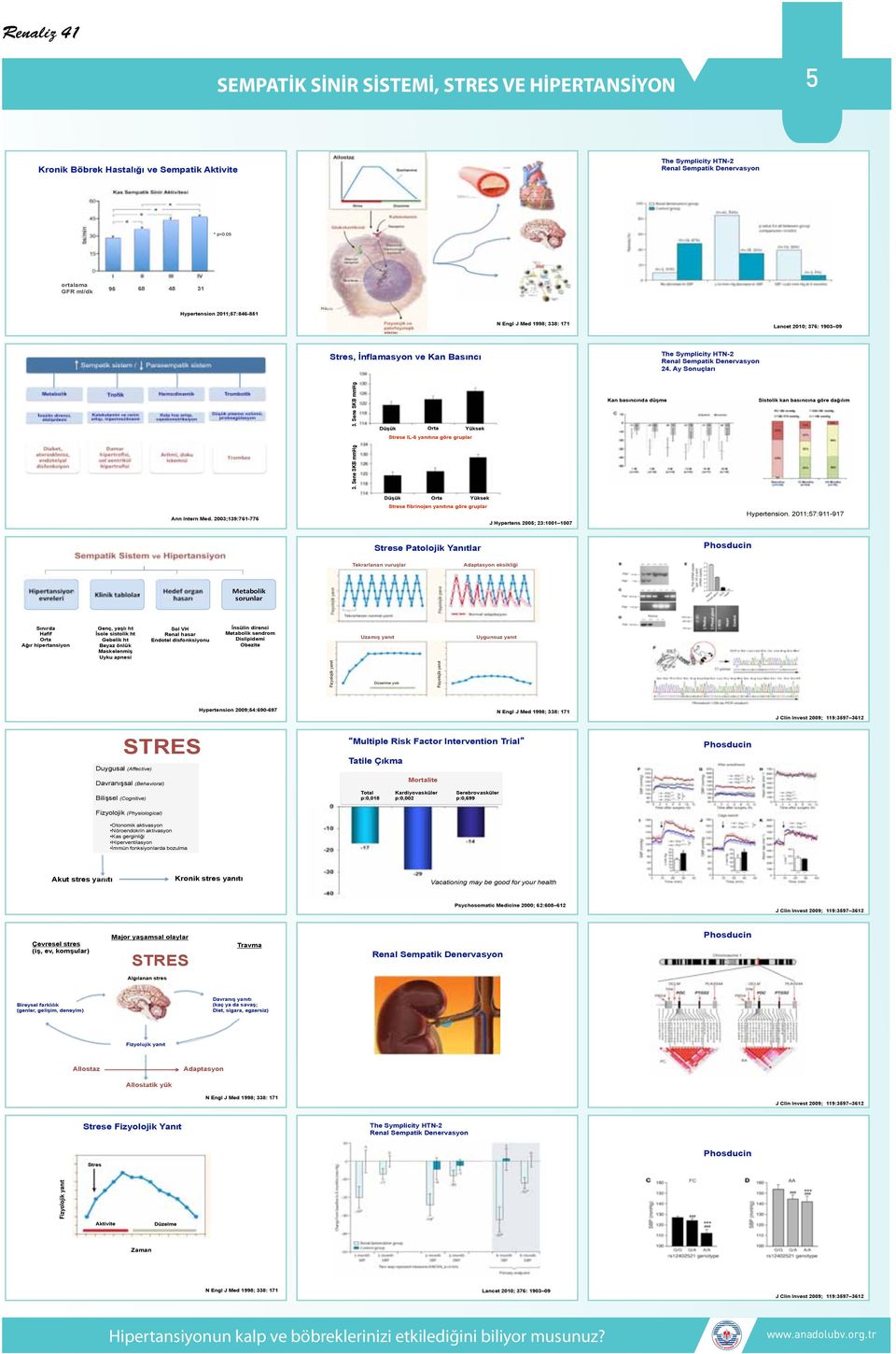 05 ortalama GFR ml/dk 95 68 48 31 Hypertension 2011;57:846-851 Hücre Fizyolojik ve patofizyolojik etkiler N Engl J Med 1998; 338: 171 Lancet 2010; 376: 1903 09 Sempatik sistem / Parasempatik sistem